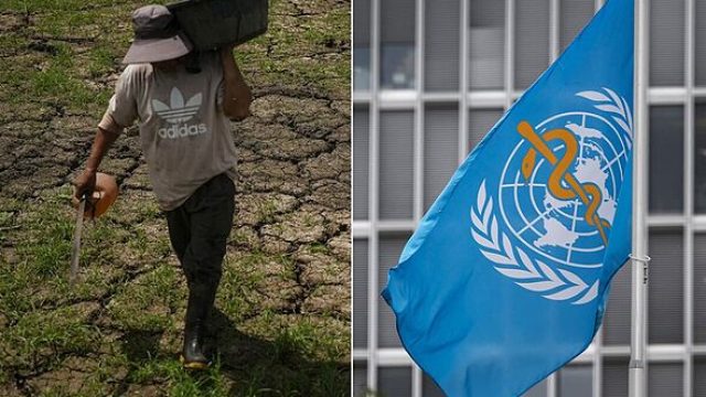 UN Warns of Intense El Niño: What It Means for Southeast Asia