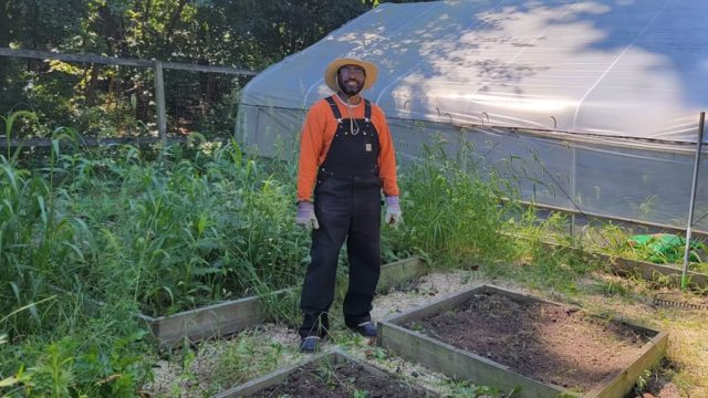 Empowering Communities: The Rise of Local Food Networks