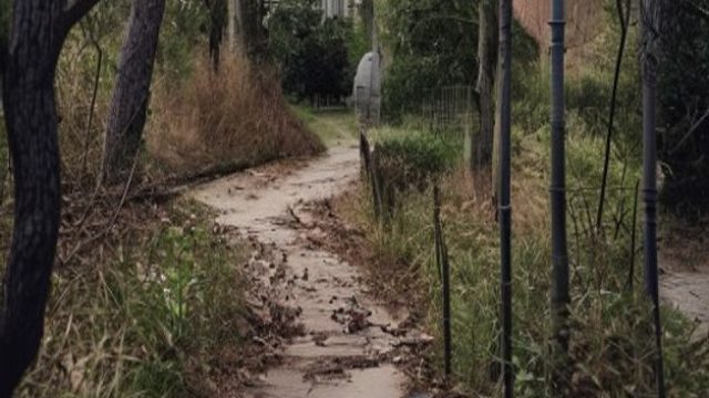 Tragic Discovery: Man Found Deceased Along Pennsylvania Walking Path | semoga engkau bahagia lirik c