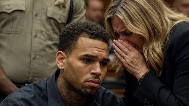 Emotional Testimony Unfolds in Dog Attack Case Involving Chris Brown | spalding bola basket, game sl