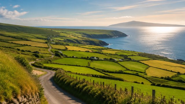 Ireland on Track to Break Temperature Records This Summer | bitcasino live rtp, soccer manager 18